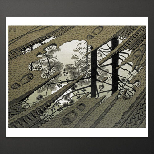 "Modderplas" poster, groot
