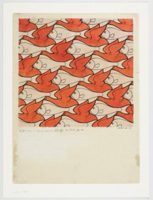 “Regular Division Swans” facsimile – M.C. Escher – The Official Website