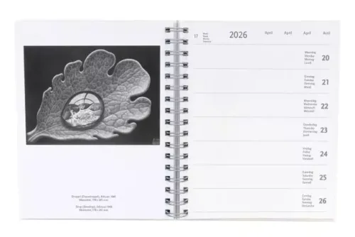 Desk Diary 2026, inside