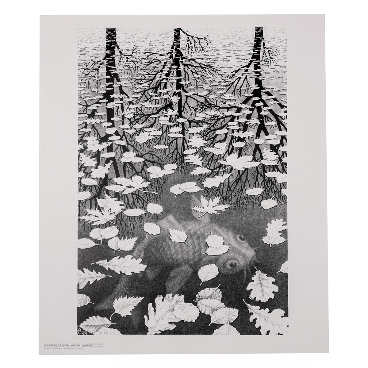 POSTER LARGE THREE WORLDS BL/W – M.C. Escher
